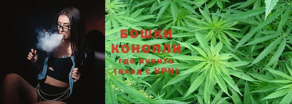 ГАЛЛЮЦИНОГЕННЫЕ ГРИБЫ Баксан