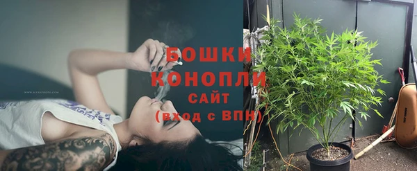 ГАЛЛЮЦИНОГЕННЫЕ ГРИБЫ Баксан