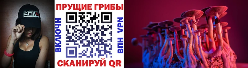 Псилоцибиновые грибы Magic Shrooms  продажа наркотиков  Жирновск 