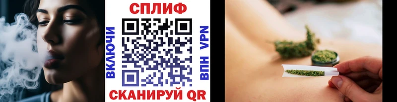 как найти   Жирновск  Каннабис конопля 